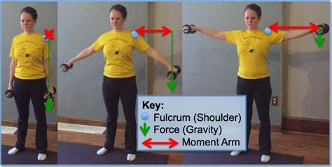 Fitness Pollenator Brief Lessons In Biomechanics Moment Arms