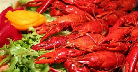 Cats love the soft to firm texture, flavor, and smell of the shrimp and can enjoy it as a healthy snack. Can Dogs Eat Shrimp? (You Need To Read This!)