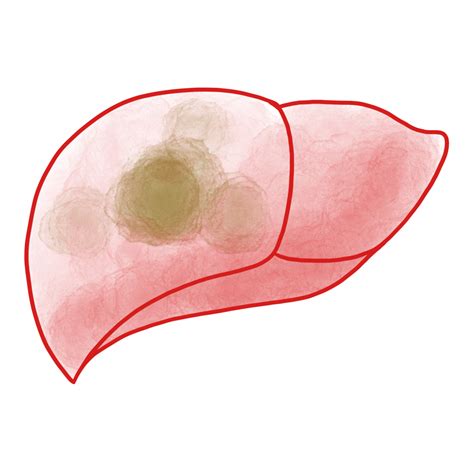 Hepatitis B Vax Fax