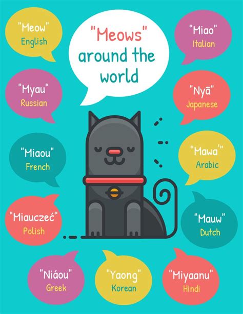 Vibrant Meows Around The World Infographic Template Infographic