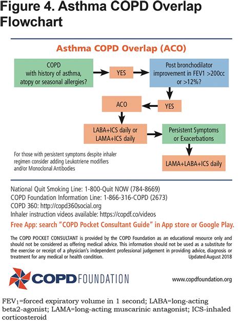 Copd Gold Guidelines 2019 Pocket Guide Sharedoc