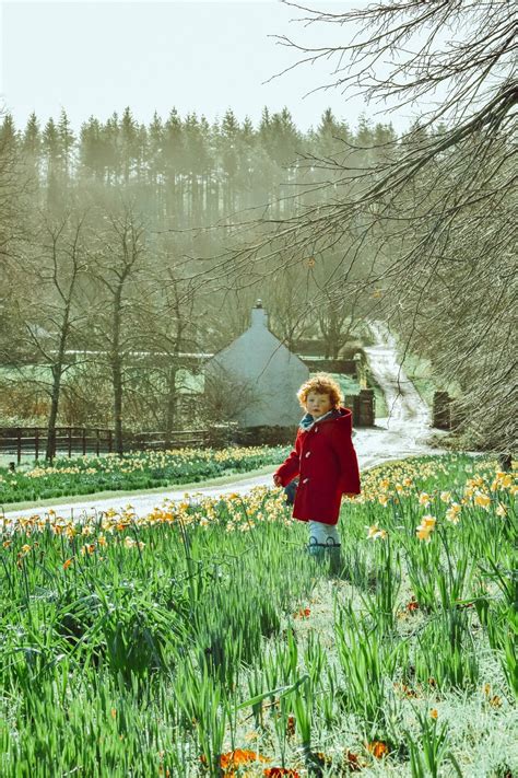 Feb 04, 2021 · nothing marks the end of winter like a cheery spring flower. Spring in Ireland ♥ | Dolly Dowsie