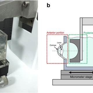 Photograph A And Schematic Diagram B Of The Physical Model Eye A