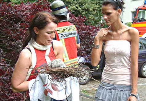 Immer auf dem neusten stand: Marl Aktuell/Sonntagsblatt im Vest » Feuerwehr rettet ...