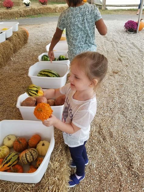 There was a vegetable petting zoo at our state fair.... Vegans.... : funny