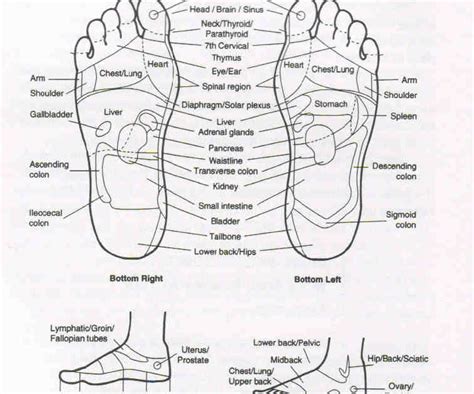 Sesiapa yang mempunyai tapak kaki yang rata cenderung untuk mempunyai 'heel spur' yang menyakitkan. muka-baru: Meransang Kekuatan Minda Melalui Urutan Tapak Kaki