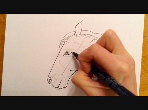 Start the head as shown. Beginners Lesson - How To Draw A Horse Derby | Drawing ...