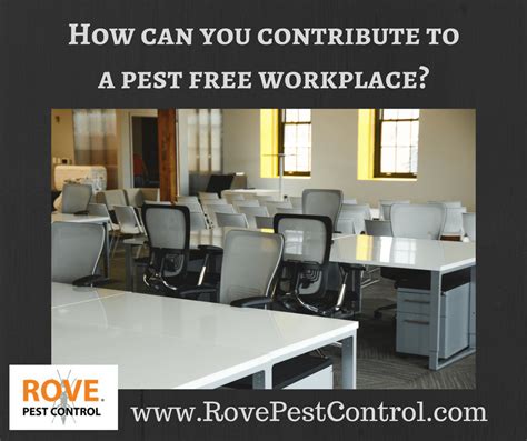 How Can You Contribute To A Pest Free Workplace Rove Pest Control