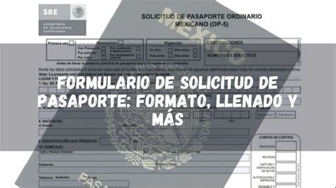 ᐈ Formulario De Solicitud De Pasaporte【formato Llenado Y MÁs】