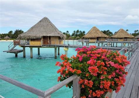 4 Best Hotels In Bora Bora