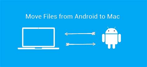 How Transfer Files Between Android And Macos A Basic Guide Techpanga