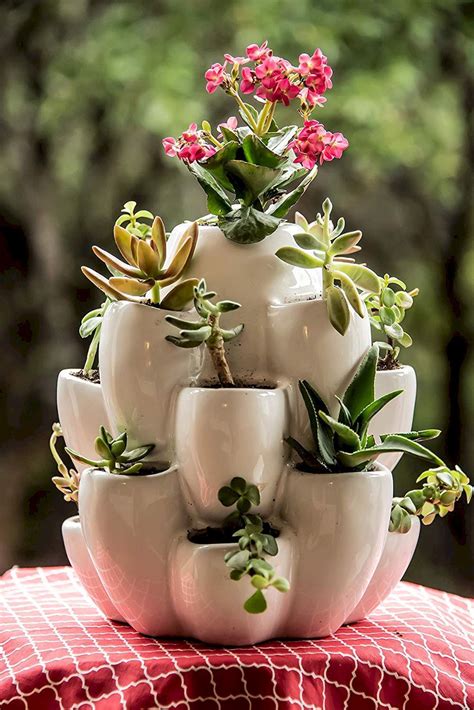 This Collection Succulents Planters And Flower Pots Includes Designs Ranging From The Cute The