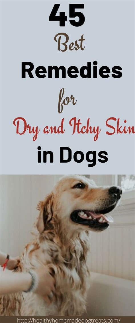 Dry Skin Diy Dry Skin On Feet Serum For Dry Skin Oil For Dry Skin