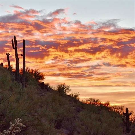 Arizona Sunset Arizona Sunset Sunset Sunrise