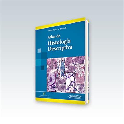 Atlas De Histología Descriptiva Incluye Sitio Web Edición 2012 Ross