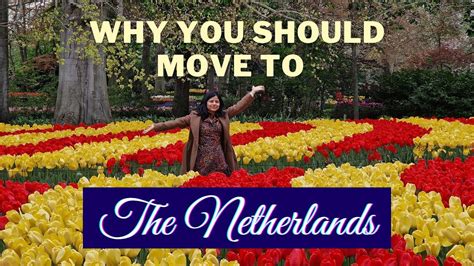 why you should move to the netherlands living in netherlands indian expats in netherlands