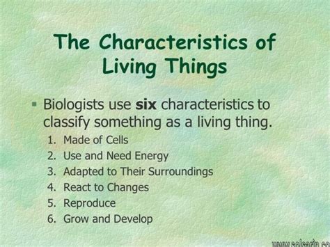 6 Characteristics Of Living Things Solsarin