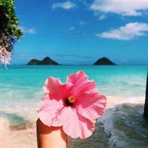Pin By 𝚕 𝚒 𝚗 𝚍 𝚣 On B L O O M Summer Vibes Tropical Vibes Beach