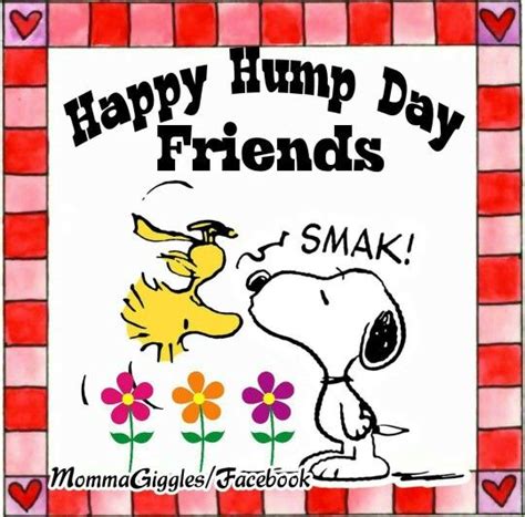 Happy Hump Day Friends Snoopy Quote Pictures Photos And