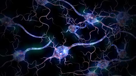 Neuron Wallpapers 4k Hd Neuron Backgrounds On Wallpaperbat