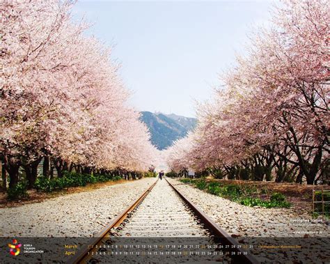 Korean Scenery Wallpapers Top Free Korean Scenery Backgrounds