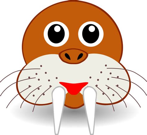 Funny Walrus Face 100612 Free Svg Download 4 Vector