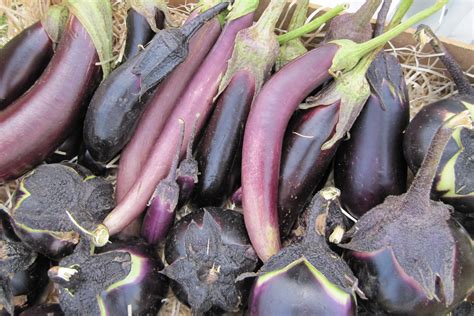 Que devient le goût des légumes