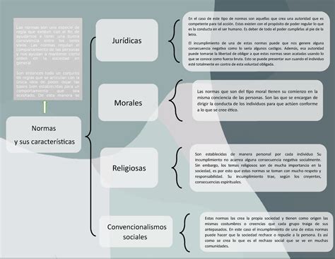 Cuadro Sinoptico Normas Y Sus Caracteristicas En El Caso De Este The