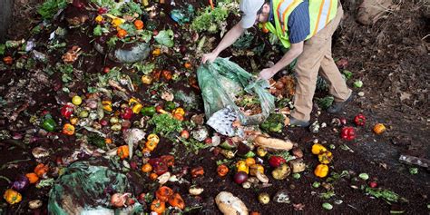 Vermont Doing Good Banning Food Waste In Favor Of Composting Do Good U