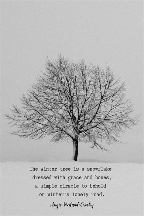 Nature Quotes For The Winter Season Nature Photography Of A Lone Tree
