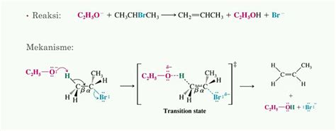 Mekanisme Reaksi Eliminasi E2