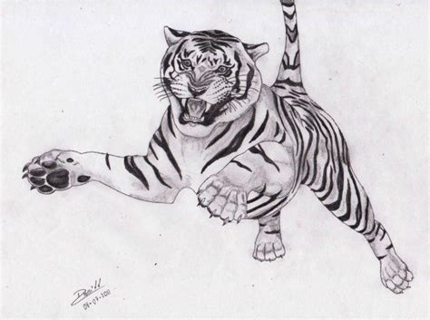 Tigre a lápiz Animales Dibujando net Tiger drawing Tiger