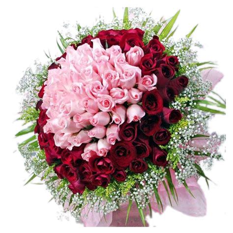 Exotic Looking Bunch Of 100 Roses In Red And Pink Colour