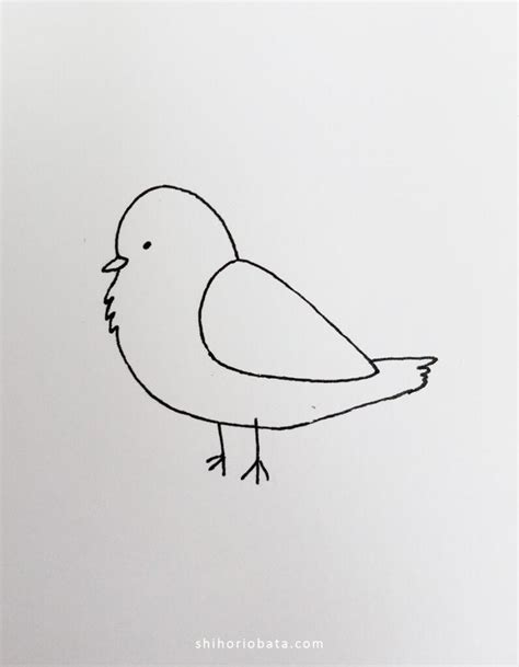 13 Easy Bird Drawings To Draw
