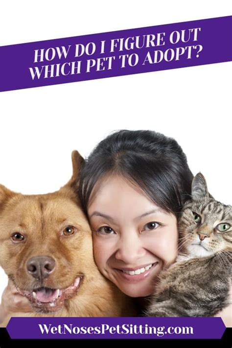 How Do I Figure Out Which Pet To Adopt Wet Noses Pet Sitting