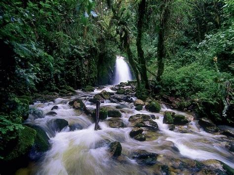 A Waterfall In The Amazon Rainforest