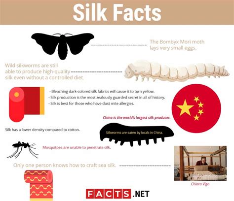 30 Silk Facts That Will Make You Feel Like Royalty