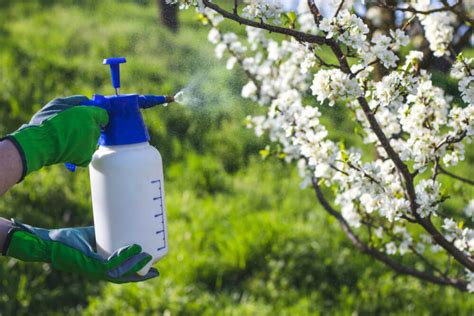 🥇 Top 10 Best Garden Sprayer Reviews Updated June 2020