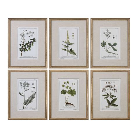 Maybe you would like to learn more about one of these? Green Floral Botanical Study Framed Prints, S/6 | Uttermost