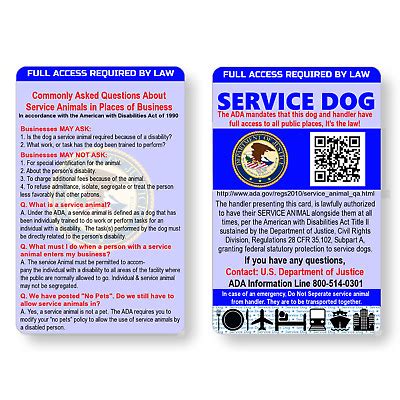 We did not find results for: Service Dog ID Information Card - Free Registration to U S ...