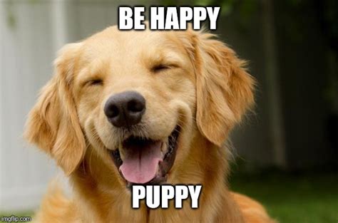 Happy Dog Imgflip