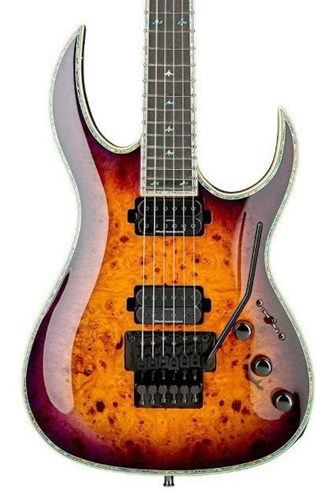 Bc Rich Prophecy Shredzilla Exotic Archtop Electric Guitar W Floyd