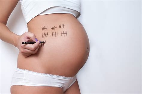 Les étapes de la grossesse mois par mois par le Dr Aknin gynécologue