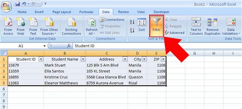 How To Use Autofilter In Ms Excel Steps With Pictures