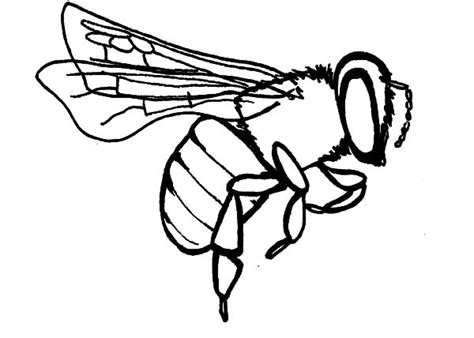 Valentine's day coloring pages from hallmark. Baby Honey Bee Coloring Pages | Coloring Sky