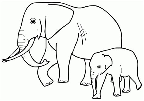 mari mewarnai gambar induk anak gajah lucu loh