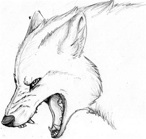 Angry View Angry Wolf Side View Drawing 