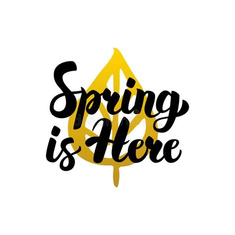 Spring Is Here Handwritten Lettering Stock Vector Illustration Of