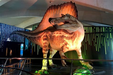 Spinosaurus El Gigante Perdido Del Cretáceo National Geographic