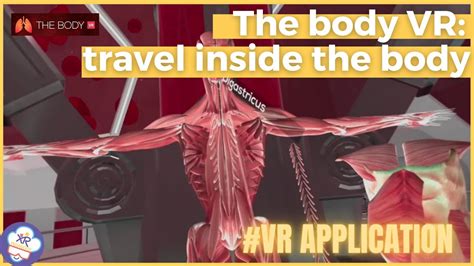 The Body Vr How To Travel Inside The Body In Vr Youtube